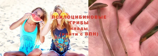 бутират Алексин